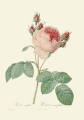 master-rbc-rbctos-2018rosen1892v1-0043.jpg