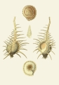 131006800086754_Strona_12.jpg