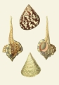 131006800086754_Strona_13.jpg