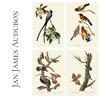 Ryciny J.J. Audubon. 4 szt.