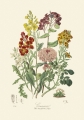 illustrationsofn01twin_0080.jpg