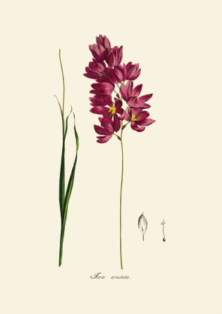 d6ca95a74d74a88aaa9cfa1fb97e