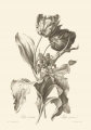 0ddb9ed84342829d1ae81c6591bc