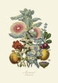 illustrationsofn01twin_0356.jpg