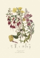 illustrationsofn01twin_0386.jpg