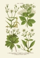 MTAxOTQ5MjQ2.108186209.jpg