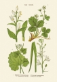 MTAxOTQ5MjQ2.108186208.jpg