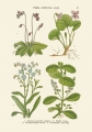 MTAxOTQ5MjQ2.108186265.jpg