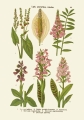 MTAxOTQ5MjQ2.108186241.jpg