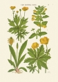 MTAxOTQ5MjQ2.108186223.jpg