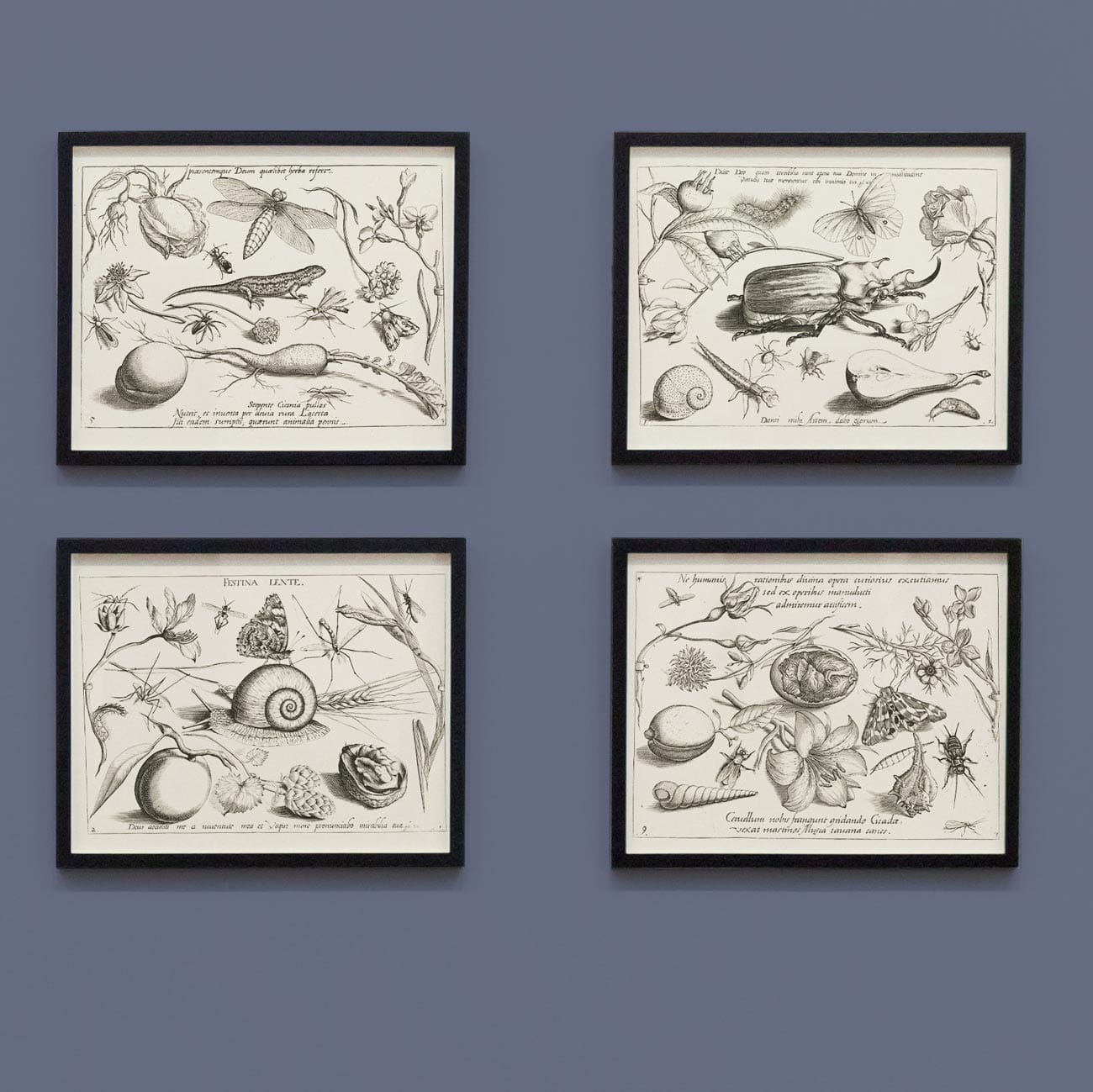 Obrazy religijne, 1592 r., J. Hoefnagel