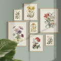 Galeria zestaw obrazów Maria Sibylla Merian