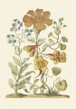 00000023.tif.original.jpg