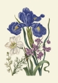 00000011.tif.original.jpg