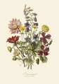 illustrationsofn01twin_0020.jpg