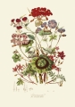 illustrationsofn01twin_0242.jpg