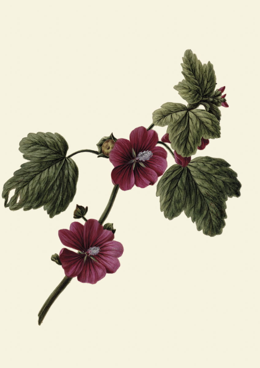 Obraz z kwiatami, 1831 r., Branch with Purple Flowers