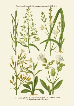 MTAxOTQ5MjQ2.108186215.jpg