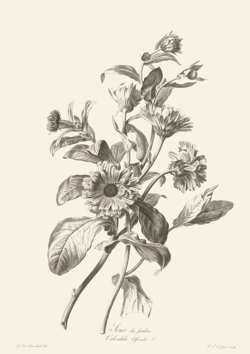 Obraz kwiaty, 1799 r.,  Sonet des Jardins
