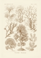master-pnp-ds-07500-07552u.jpg