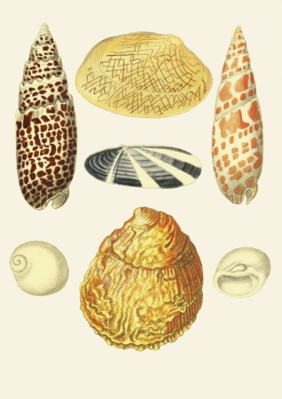 131006800086754_Strona_07.jpg