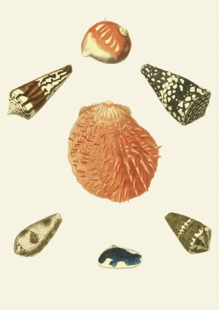 131006800086754_Strona_08.jpg