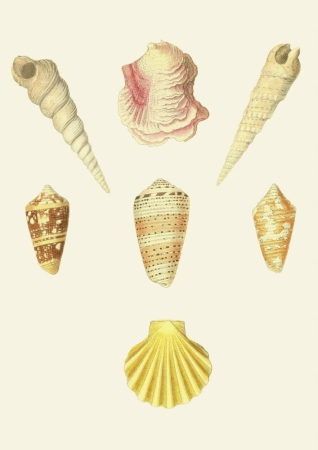 131006800086754_Strona_09.jpg