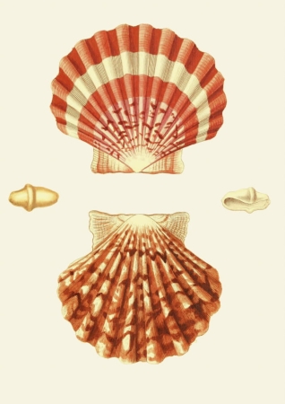 131006800086754_Strona_15.jpg