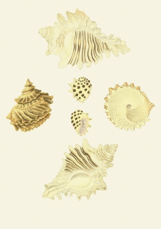 131006800086754_Strona_26.jpg