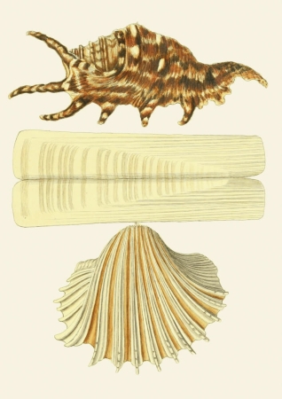 131006800086754_Strona_29.jpg