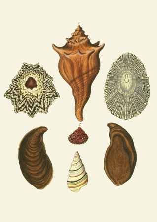 131006800086754_Strona_31.jpg