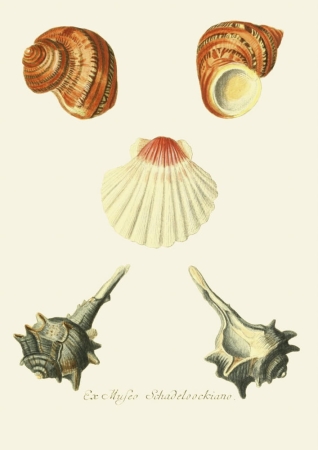 131006800086754_Strona_52.jpg