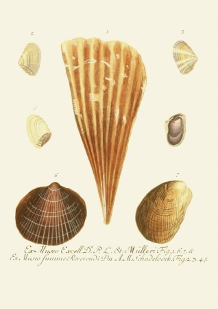 131006800086754_Strona_53.jpg