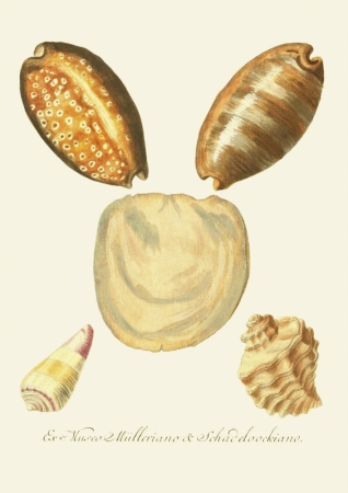 131006800086754_Strona_54.jpg