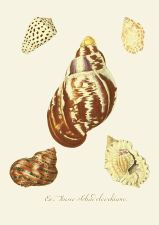 131006800086754_Strona_63.jpg