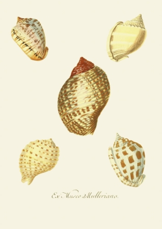 131006800086754_Strona_68.jpg
