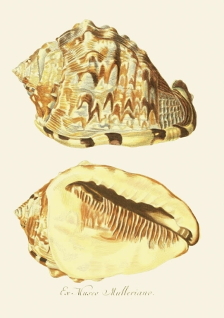 131006800086754_Strona_70.jpg