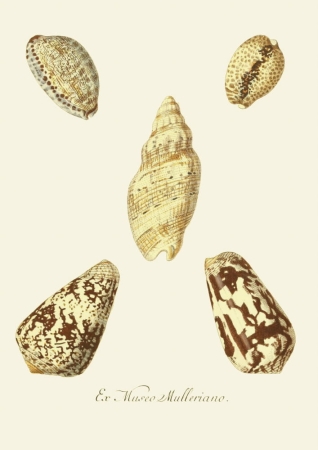 131006800086754_Strona_72.jpg