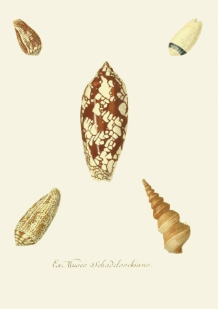 131006800086754_Strona_79.jpg