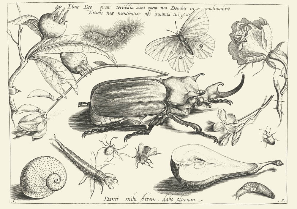 O dziełach Boskich, 1592 r.