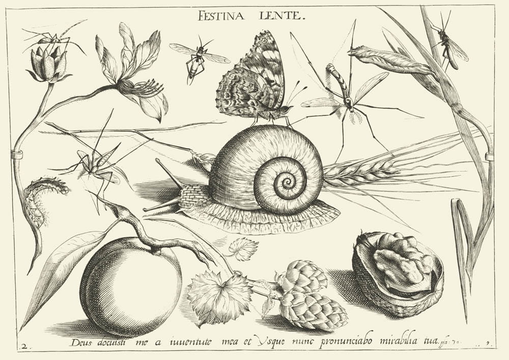 O Bogu, 1592 r.
