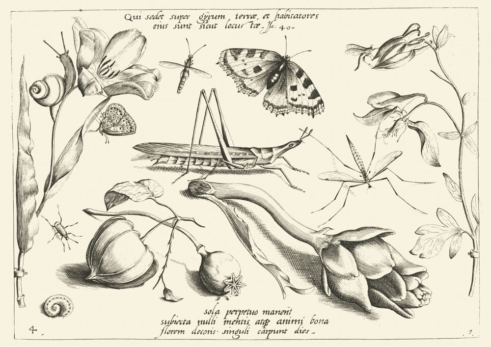 O wolności, 1592 r.