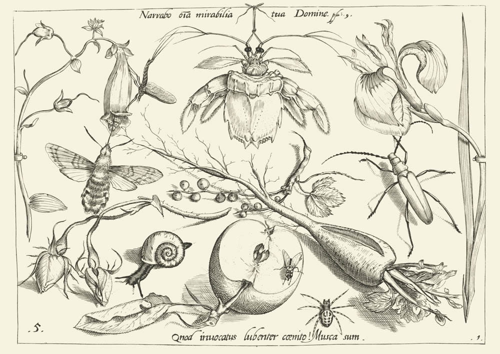 O człowieczeństwie, 1592 r.