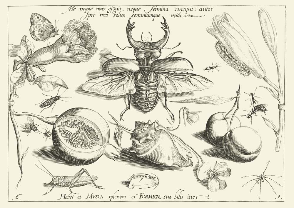 O świadomości, 1592 r.