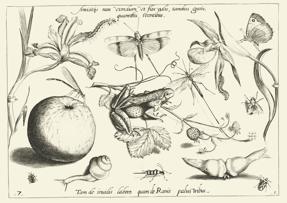 O przyjaźni, 1592 r.