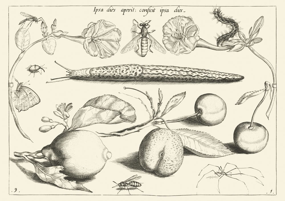 O czasie, 1592 r.