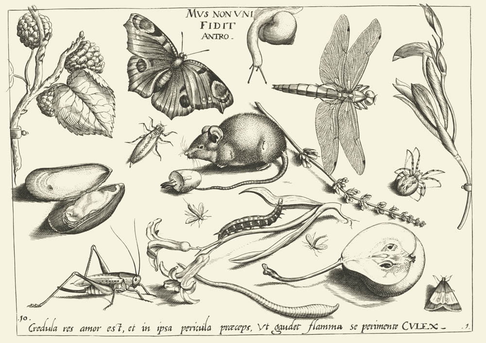 O zdradzie, 1592 r.