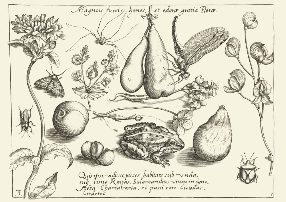 O wiośnie, 1592 r.