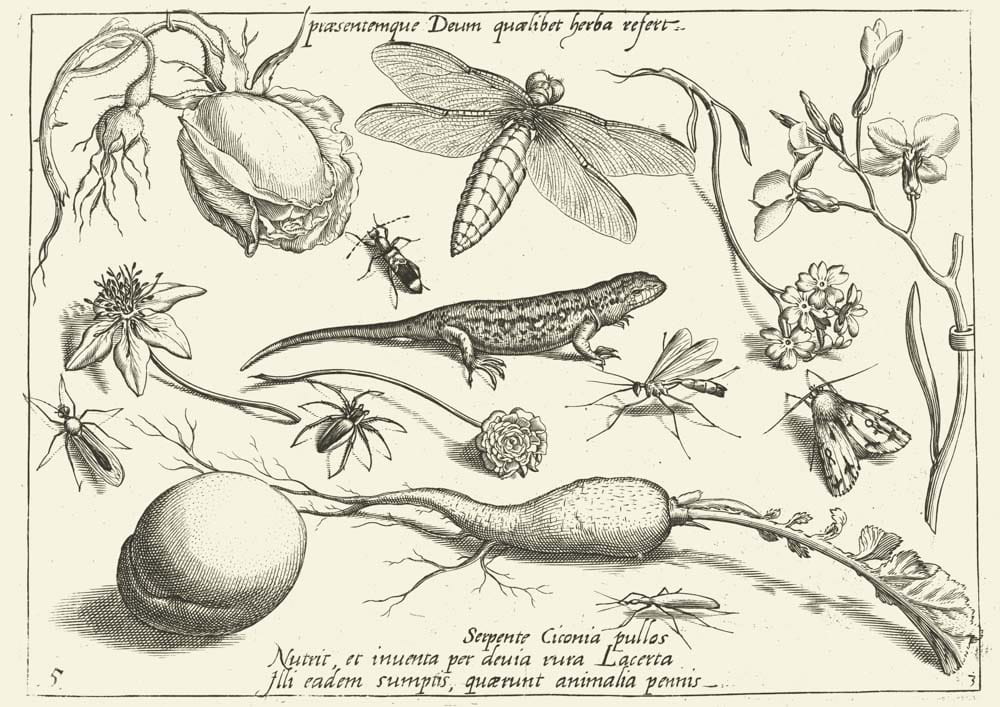 O Bogu, 1592 r.