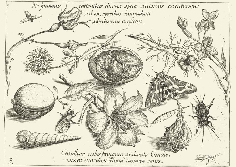 O Bogu i umyśle, 1592 r.